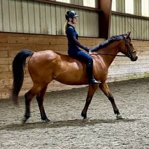 Meet your Posher, Ashley